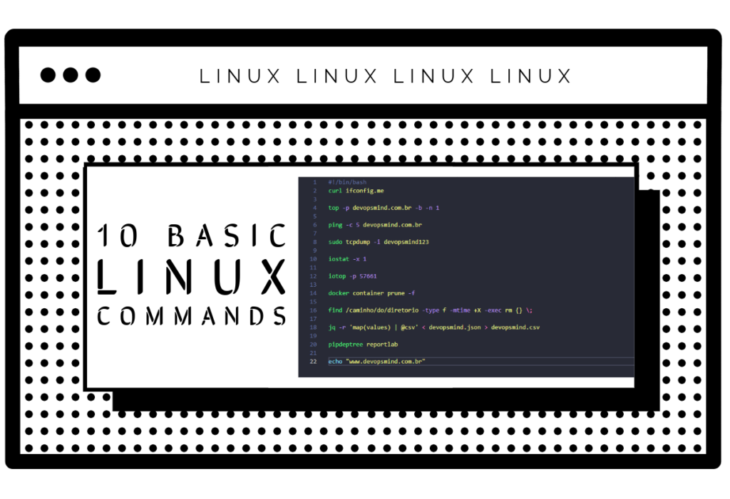 Basic Linux commands