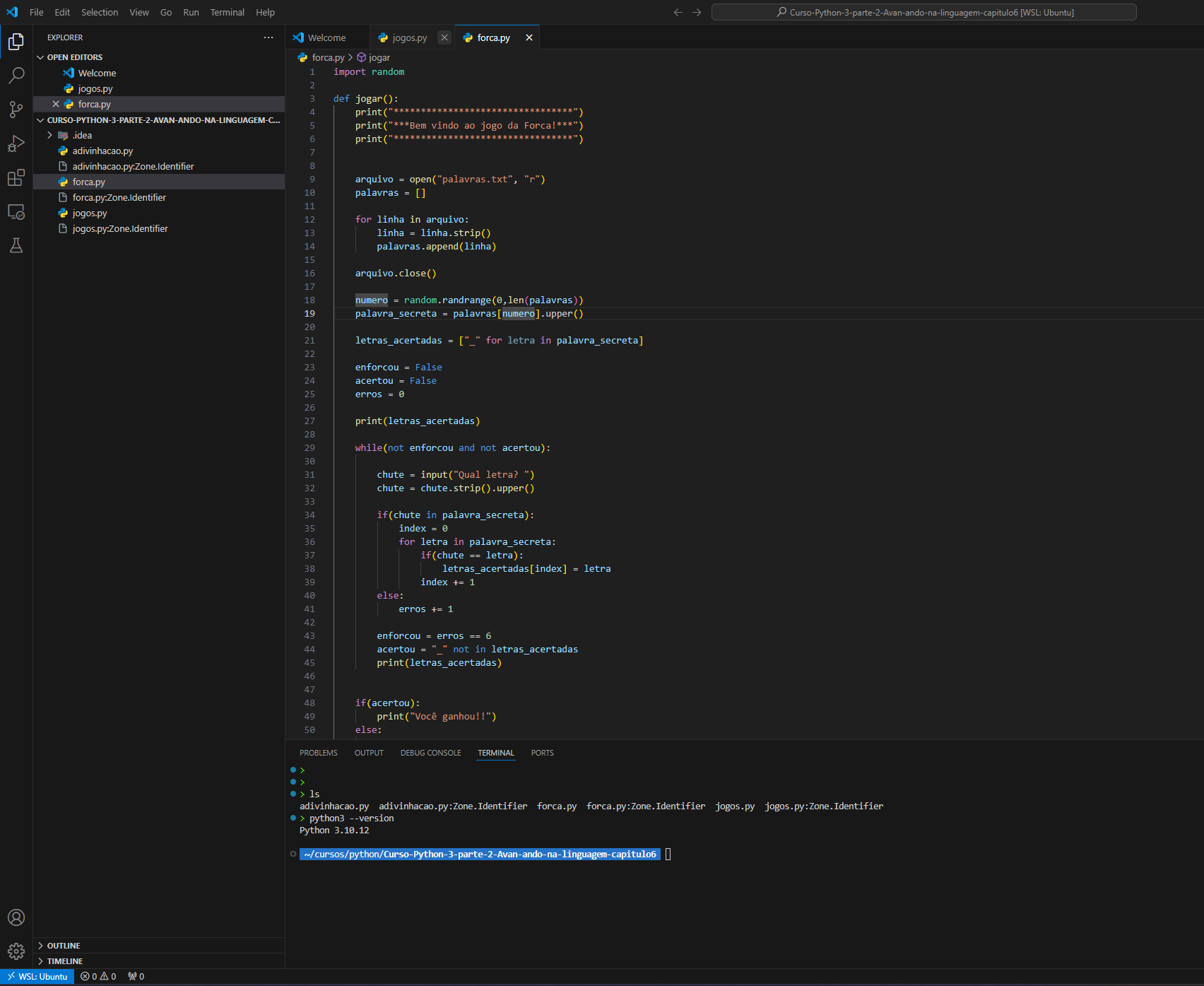 Como usar terminal Linux no Windows com WSL2 + Plugins avançados ...