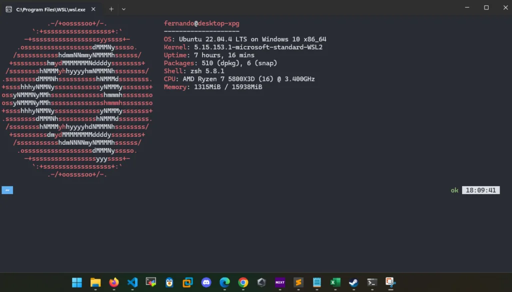 terminal linux no windows