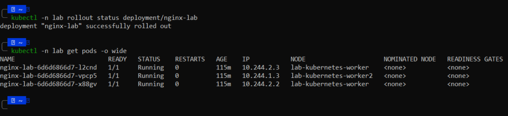 Três pods do nginx-lab em Running, com duas réplicas no mesmo worker e uma no worker2